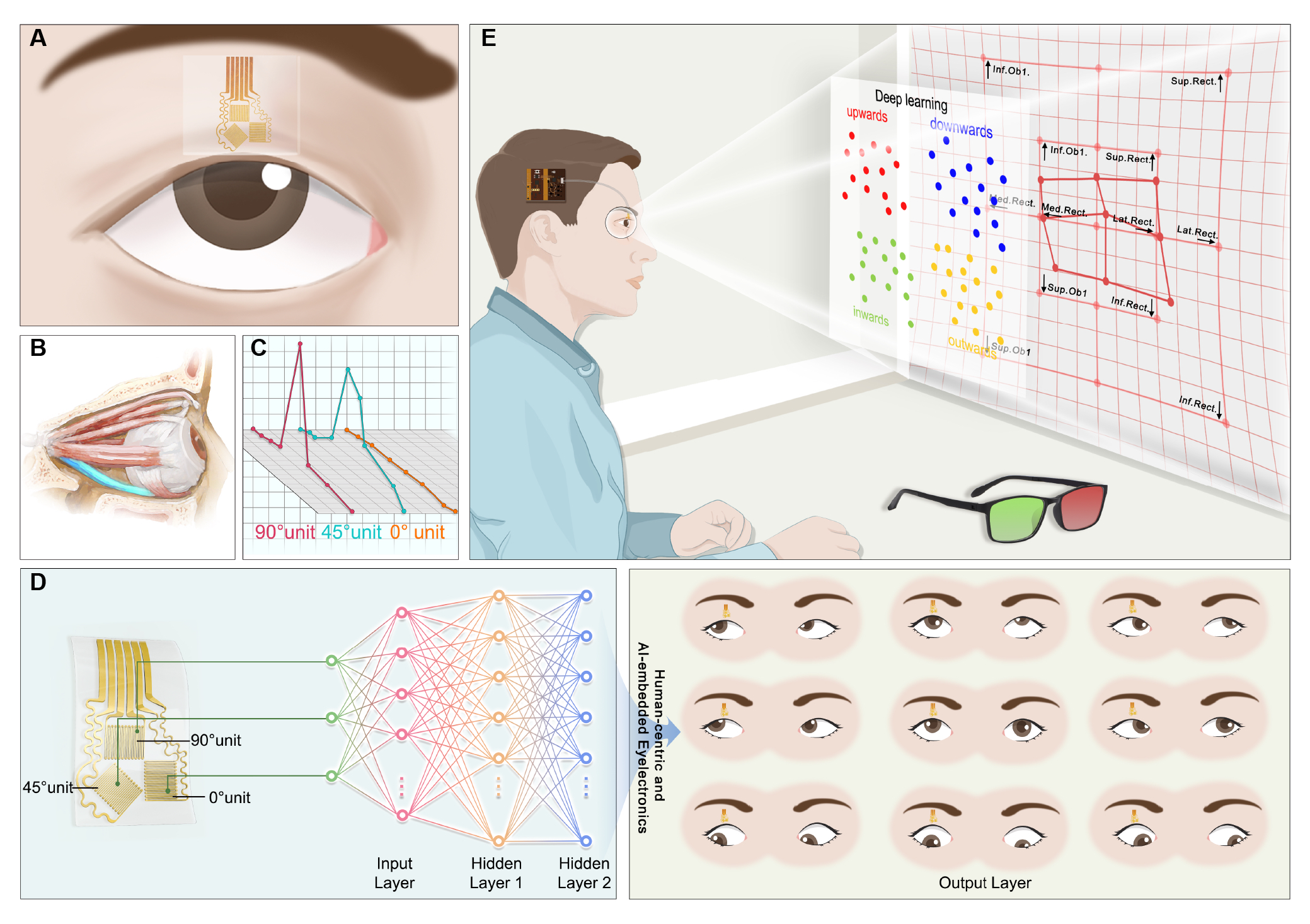 20260206-001-中文色情
-匿名.jpg